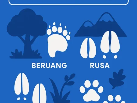 Panduan Mengenali Jejak Satwa Liar di Alam Bebas